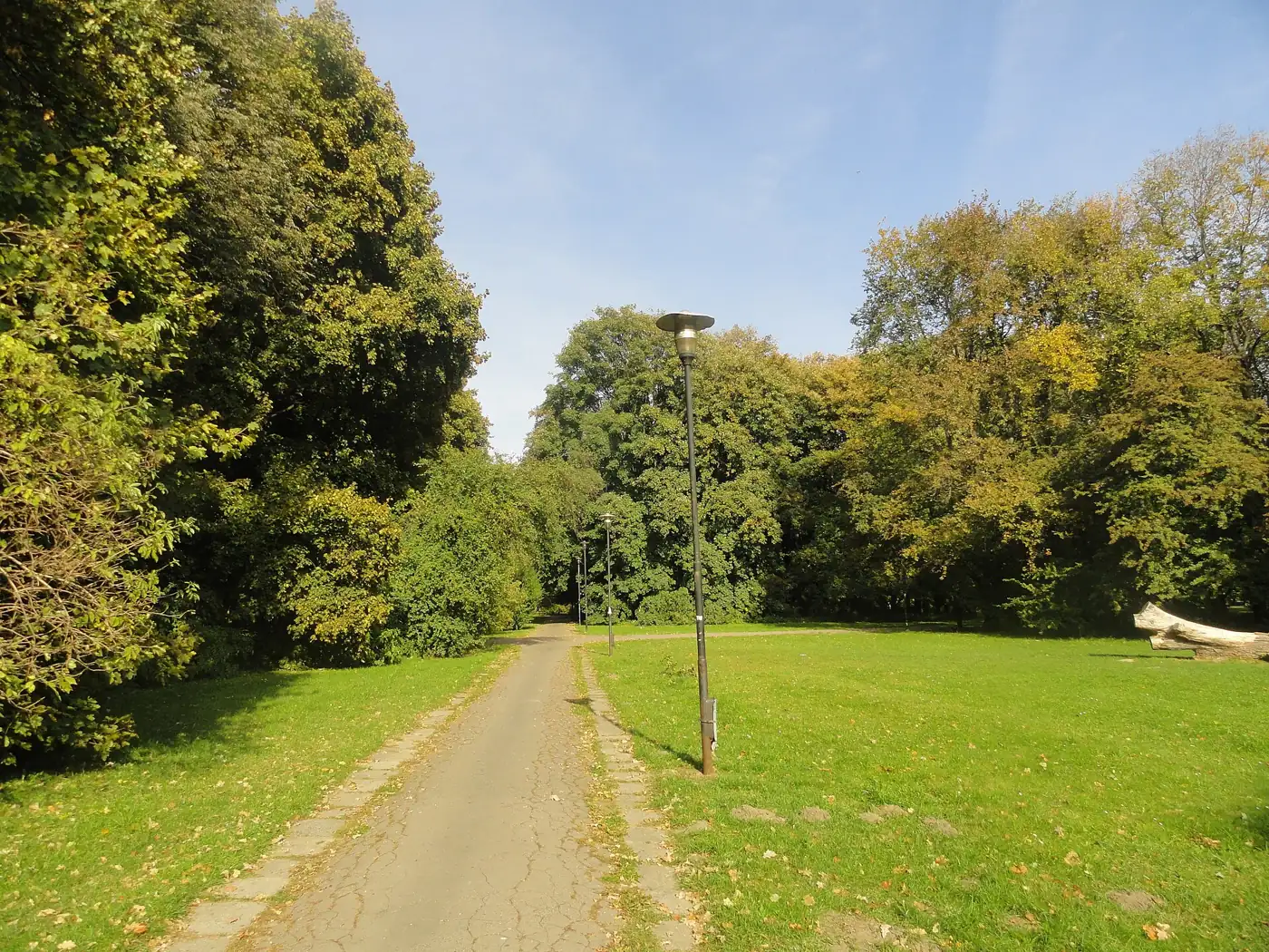 A tree-lined path through Pole Mokotowskie park in early autumn, with a lamp post and open lawn.